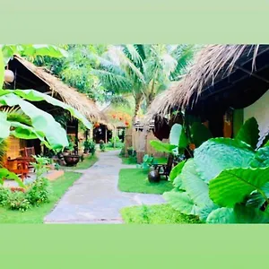 Under The Coconut Tree Homestay